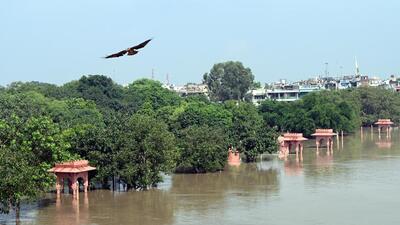 At 6am on Thursday, the Yamuna touched the highest level this season, of 207.48 metres. (Arvind Yadav/HT Photo) At 6am on Thursday, the Yamuna touched the highest level this season, of 207.48 metres. (Arvind Yadav/HT Photo)