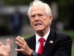 White House trade advisor Peter Navarro.