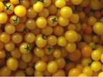 An optical illusion shared on Reddit went viral as users tried to locate a sneaky Minion hidden among dozens of yellow cherry tomatoes.
