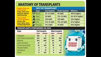 As per government data, the private sector in Punjab performed 616 kidney and five liver transplants in 2024. (HT Photo) As per government data, the private sector in Punjab performed 616 kidney and five liver transplants in 2024. (HT Photo)
