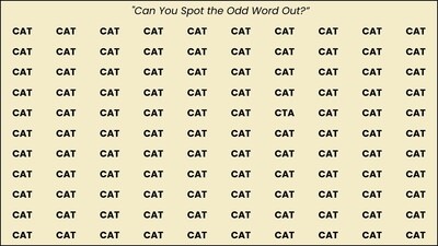 This kind of visual puzzle is effective because it activates attention, pattern detection, and concentration. This kind of visual puzzle is effective because it activates attention, pattern detection, and concentration.