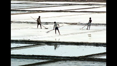 Several members of the trade association are small-scale, coastal salt producers operating on razor-thin margins. Mandatory iodisation requirements in India change production models from bulk, loose salt traded locally, to packaged, branded products. (HT Archive) Several members of the trade association are small-scale, coastal salt producers operating on razor-thin margins. Mandatory iodisation requirements in India change production models from bulk, loose salt traded locally, to packaged, branded products. (HT Archive)