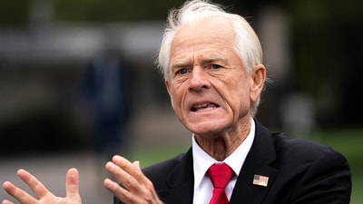 White House trade advisor Peter Navarro. (REUTERS)
