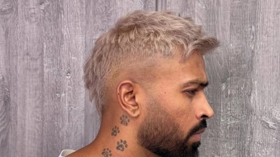 Hardik Pandya's new look is viral. (Hardik Pandya - Instagram) Hardik Pandya's new look is viral. (Hardik Pandya - Instagram)