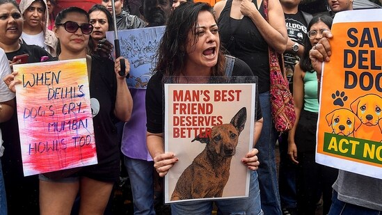 After the SC verdict on stray dogs:10 big Questions that the city has