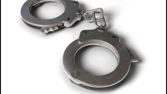 The Sahastra Seema Bal intercepted the woman and handed her over to the police. (HT PHOTO)