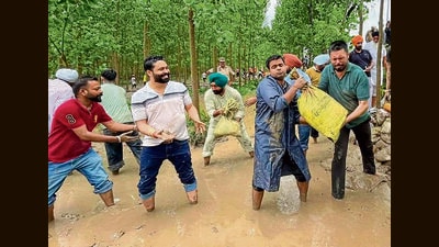 Deputy commissioner Himanshu Jain (second from right) with local residents, placing sandbags on the banks of Sutlej river in Sasrali Colony in Ludhiana on Saturday. (HT Photo) Deputy commissioner Himanshu Jain (second from right) with local residents, placing sandbags on the banks of Sutlej river in Sasrali Colony in Ludhiana on Saturday. (HT Photo)