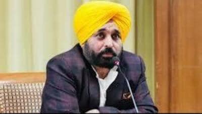 Punjab chief minister Bhagwant Mann (HT File)