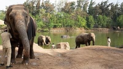 The four-member team began its three-day visit on September 5 and is expected to conclude the on-site inquiry on September 7, an official said. (HT Photo/ Raju Shinde)