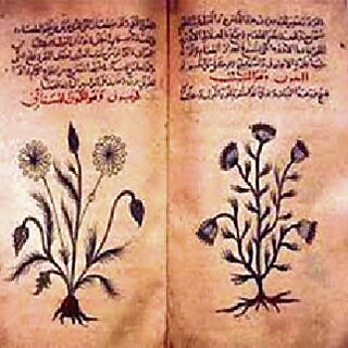 A page from the Ebyrus Papyrus. (Wikimedia Commons)