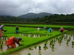 Agriculture