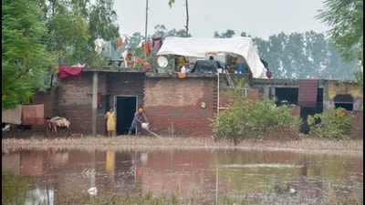 A man drains the flooded water from their house at village Machhiwala near Ramdas in Amritsar on Sunday. (Sameer Sehgal/Hindustan Times) A man drains the flooded water from their house at village Machhiwala near Ramdas in Amritsar on Sunday. (Sameer Sehgal/Hindustan Times)