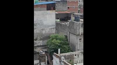 Located between Gwynne Road and Golaganj in Lucknow, ‘Kallan ki Lat’ now stays masked behind buildings taller than it (Sourced) Located between Gwynne Road and Golaganj in Lucknow, ‘Kallan ki Lat’ now stays masked behind buildings taller than it (Sourced)