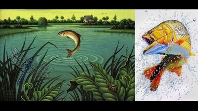 The CD / LP cover of the Deutsche Grammophon recording of ‘The Trout Quintet ‘ released in 1991 and (right) artwork by Francisco Charneca of a fish struggling to free itself of a hook. The CD / LP cover of the Deutsche Grammophon recording of ‘The Trout Quintet ‘ released in 1991 and (right) artwork by Francisco Charneca of a fish struggling to free itself of a hook.