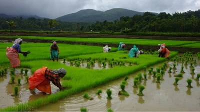 Agriculture (Courtesy Rajesh Krishnan) Agriculture (Courtesy Rajesh Krishnan)