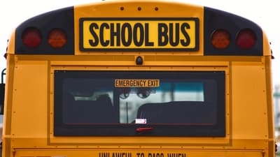 Arizona mom Jackeline Ezrre found fulfilment as a school bus driver. (Representative image/Unsplash) Arizona mom Jackeline Ezrre found fulfilment as a school bus driver. (Representative image/Unsplash)