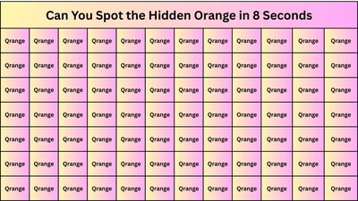 Can you spot the Orange? Can you spot the Orange?