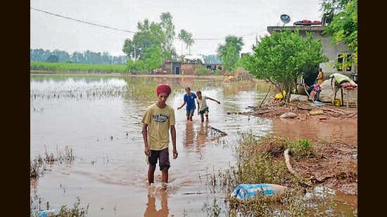 Children walk through a flooded area at Machhiwala village near Ramdas in Amritsar on Sunday.. (Photo by Sameer Sehgal/Hindustan Times) (Sameer Sehgal/Hindustan Times)