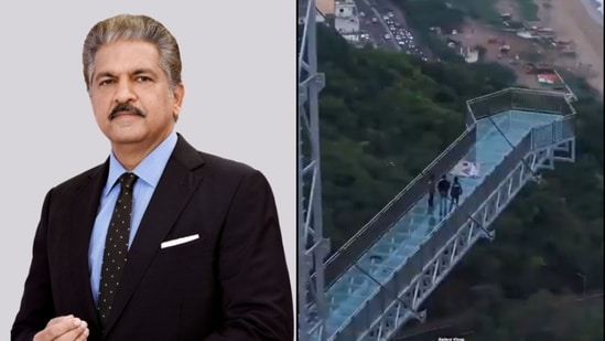 The Vizag glass bridge is expected to open for tourists in the coming days. (X/@anandmahindra)
