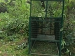 JNU officials said the forest department installed the traps and cage on Sunday. (HT)