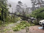 The India meteorological department’s (IMD) Shimla office has predicted rainfall to continue in parts of Himachal Pradesh till September 14, however, no heavy rain alert has been issued in the coming few days. (PTI File) The India meteorological department’s (IMD) Shimla office has predicted rainfall to continue in parts of Himachal Pradesh till September 14, however, no heavy rain alert has been issued in the coming few days. (PTI File)