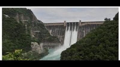 As per the data released by the Bhakra Beas Management Board (BBMB), the current water level in the Pong dam is 1,391.33 feet, which was above 1,394 feet last week.