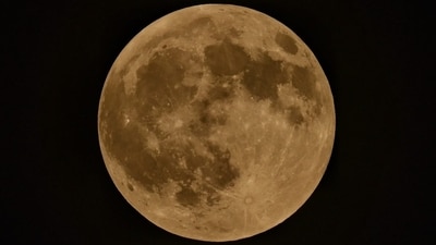 The celestial event reached its peak as the ‘Blood Moon’ graced the sky, glowing a stunning red due to Rayleigh scattering in Lucknow, Uttar Pradesh. (Deepak Gupta/Hindustan Times) The celestial event reached its peak as the ‘Blood Moon’ graced the sky, glowing a stunning red due to Rayleigh scattering in Lucknow, Uttar Pradesh. (Deepak Gupta/Hindustan Times)