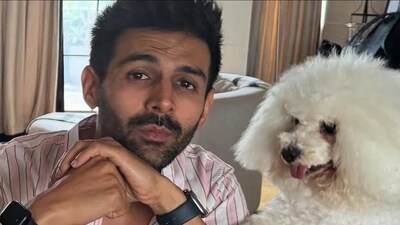 Kartik Aaryan recently grabbed attention with his first land investment, a 2,000 sq ft plot in Alibaug for ₹2 crore. If you’re considering buying property in this coastal town, here’s what you need to know.(Picture for representational purposes only) (Files) Kartik Aaryan recently grabbed attention with his first land investment, a 2,000 sq ft plot in Alibaug for ₹2 crore. If you’re considering buying property in this coastal town, here’s what you need to know.(Picture for representational purposes only) (Files)