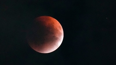 The blood moon appears during the lunar eclipse, in New Delhi, Sunday, Sept. 7, 2025. (PTI) The blood moon appears during the lunar eclipse, in New Delhi, Sunday, Sept. 7, 2025. (PTI)