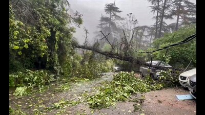The India meteorological department’s (IMD) Shimla office has predicted rainfall to continue in parts of Himachal Pradesh till September 14, however, no heavy rain alert has been issued in the coming few days. (PTI File)
