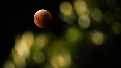 This photograph shows a view of a full moon also known as "Blood Moon" with leaves in the foreground during a phase of a total lunar eclipse in Jakarta on September 8, 2025.&nbsp; (AFP)