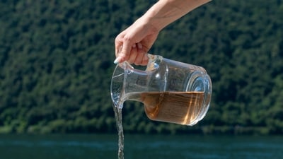 This natural detox beverage aids digestion, flushes out toxins from the liver, and is also beneficial for the skin. (Unsplash) This natural detox beverage aids digestion, flushes out toxins from the liver, and is also beneficial for the skin. (Unsplash)