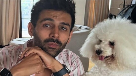 Kartik Aaryan recently grabbed attention with his first land investment, a 2,000 sq ft plot in Alibaug for ₹2 crore. If you’re considering buying property in this coastal town, here’s what you need to know.(Picture for representational purposes only) (Files)