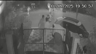 A CCTV video of the incident surfacing on social media shows the man shielding his nephew as the bull charges at them. Locals manage to rescue the kid, but the bull then targets his uncle, chasing and leaving him with multiple injuries. (HT Photos)