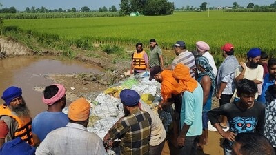 Farmers plugging breach of the Dhussi bundh at village Burj Tehal Das. Farmers plugging breach of the Dhussi bundh at village Burj Tehal Das.