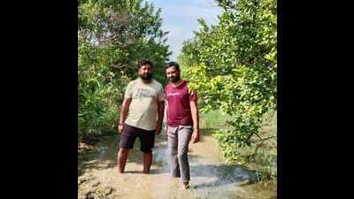 Kinnow grower Harprabhjit Singh (right) at his waterlogged orchard at Dalmir Khera village near Abohar in Fazilka district. (HT) Kinnow grower Harprabhjit Singh (right) at his waterlogged orchard at Dalmir Khera village near Abohar in Fazilka district. (HT)
