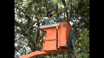 Maintenance cycle set at 15–30 days for verges, shrubs capped at 1.2m, with regular cleaning, watering, soil loosening, and fertilisation twice a year. (HT Archive) Maintenance cycle set at 15–30 days for verges, shrubs capped at 1.2m, with regular cleaning, watering, soil loosening, and fertilisation twice a year. (HT Archive)