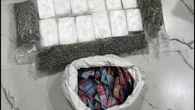 On January 31, the NCB raided a Navi Mumbai flat and seized 11.54 kg of high-grade cocaine in the form of 12 bricks, alongside 4.9 kg of hydroponic weed and 5.5 kg of cannabis gummies, cumulatively worth ₹200 crore On January 31, the NCB raided a Navi Mumbai flat and seized 11.54 kg of high-grade cocaine in the form of 12 bricks, alongside 4.9 kg of hydroponic weed and 5.5 kg of cannabis gummies, cumulatively worth ₹200 crore