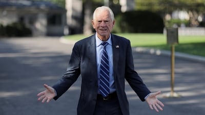 White House trade advisor Peter Navarro speaks to reporters on the West Wing driveway at the White House in Washington. (Reuters)
