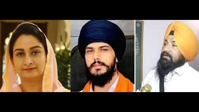 Shiromani Akali Dal Bathinda MP Harsimrat Kaur Badal, jailed Khadoor Sahib MP Amritpal Singh and Faridkot Independent Lok Sabha member Sarabjeet Singh Khalsa abstained from taking part in the process to elect the 15th Vice-President on Tuesday. (HT file)