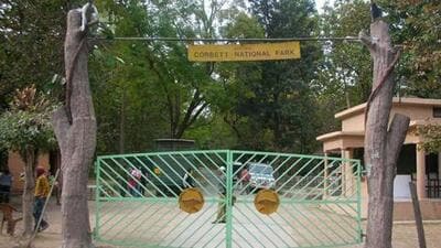 The entrance gate of Corbett tiger reserve from Dhikala, Ramnagar. (HT File Photo) The entrance gate of Corbett tiger reserve from Dhikala, Ramnagar. (HT File Photo)