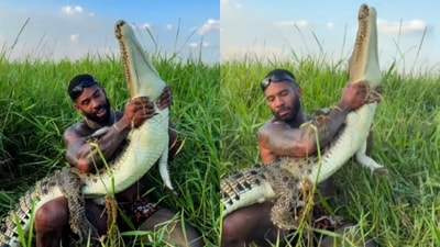A clip went viral as a man chased and caught a crocodile in a swamp using only his hands. (Instagram/therealtarzann) A clip went viral as a man chased and caught a crocodile in a swamp using only his hands. (Instagram/therealtarzann)
