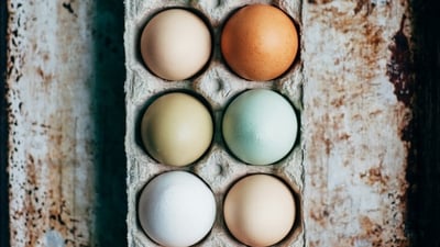 Eggs can improve eye health. (Unsplash ) Eggs can improve eye health. (Unsplash )