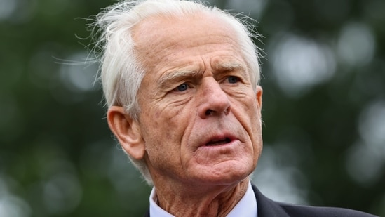 Peter Navarro, White House senior counselor for trade and manufacturing (Bloomberg)