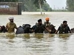 The floods have forced impossible choices, coaxing terrified buffaloes up to rooftops and waiting with them as the waters rose, or untying them so they could swim off to a drier spot and fend for themselves. (HT File) The floods have forced impossible choices, coaxing terrified buffaloes up to rooftops and waiting with them as the waters rose, or untying them so they could swim off to a drier spot and fend for themselves. (HT File)