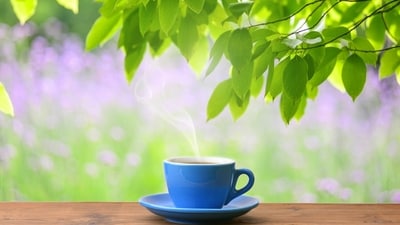 Drinking tea on an empty stomach can increase acidity and harm gut health, warns experts. (Freepik) Drinking tea on an empty stomach can increase acidity and harm gut health, warns experts. (Freepik)