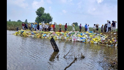 Security personnel and volunteers place sandbags to repair a damaged embankment as a preventive measure against erosion, at a flood-affected village, in Amritsar district, Punjab, on Wednesday. (PTI) Security personnel and volunteers place sandbags to repair a damaged embankment as a preventive measure against erosion, at a flood-affected village, in Amritsar district, Punjab, on Wednesday. (PTI)