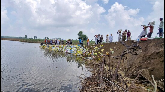 After days of devastation, the Sutlej is finally receding, bringing a measure of relief to flood-ravaged regions of Ferozepur and Fazilka. Over the past five days, water discharge from the Harike headworks has reduced by nearly 1.3 lakh cusecs — marking a significant turning point in the flood crisis. (PTI)