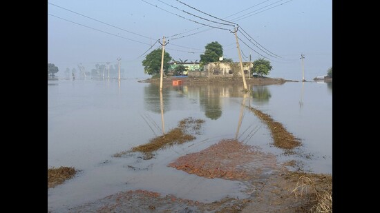 After nearly a month of devastation, floodwaters have finally begun to recede in Sultanpur Lodhi’s Mand area, allowing residents to return to their homes with belongings and livestock. The area had remained submerged since August 11, when the Beas breached its banks, affecting 145 villages and displacing 5,728 people.