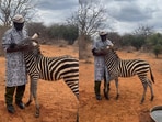 An adorable video of orphaned zebra Bombi has gone viral on Instagram.
